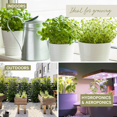Organic Herb Seeds - Non-GMO - Spade To Fork