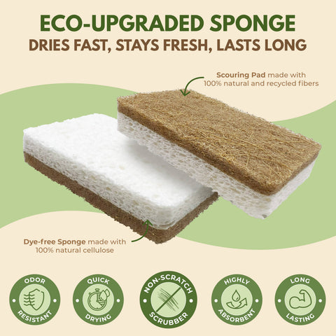 10 Pack Dish Sponges, Eco Friendly, Biodegradable - AIRNEX