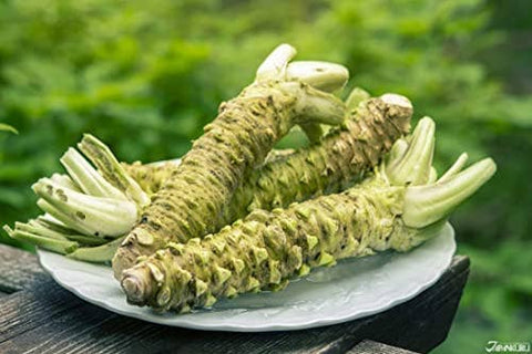Wasabi Plant, 150 Seeds - The Rike