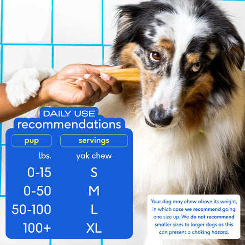 Yak Dental Chews , Himalayan Cheese Dog Treats: 5.3oz, Small - Native Pet