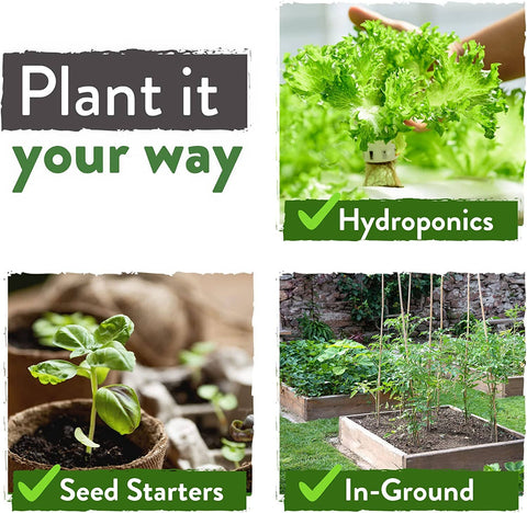 10 Lettuce and Leafy Greens Seeds, Heirloom, Non GMO - Homegrown Garden