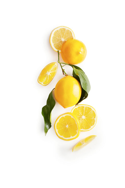 Meyer Lemon Shortbread Cookies, 4 oz - Rustic Bakery