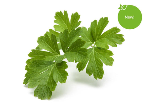 Parsley Plant Pods, 3-pack - Click and Grow