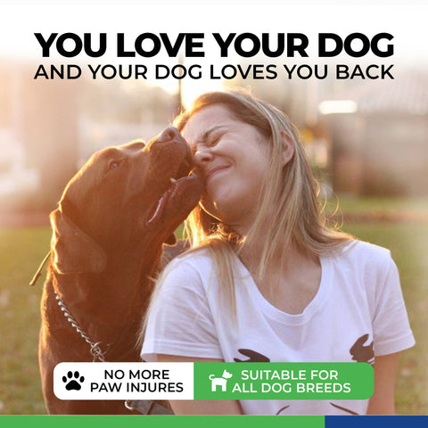 Urban Walkers III- Teal: Small - For Pets - Healers PetCare