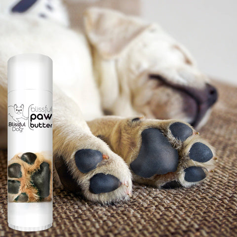Paw Butter for Rough, Dry Dog Paws in Tins & Tubes, Paw Balm: 1 oz tin - The Blissful Dog