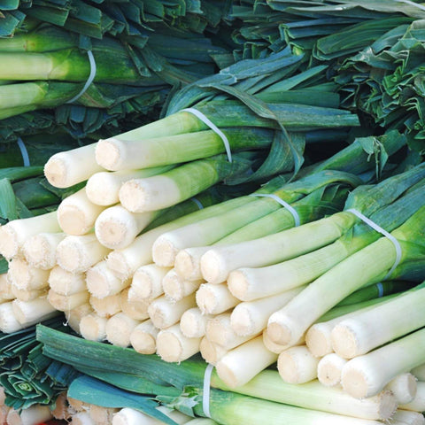 Leeks, 1500 Seeds - The Rike