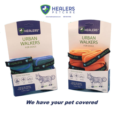 Urban Walkers III- Teal: Small - For Pets - Healers PetCare