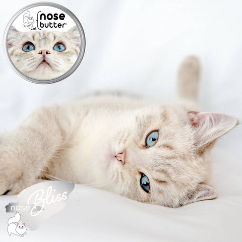 The Blissful Cat Nose Butter: 0.15oz Tube - The Blissful Dog