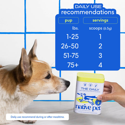 The Daily Powder Supplement, 11-in-1 Multivitamins for Dogs: 7oz - Native Pet
