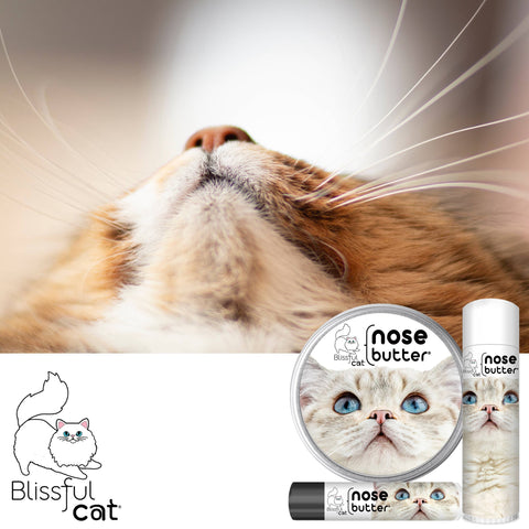 The Blissful Cat Nose Butter: 0.15oz Tube - The Blissful Dog