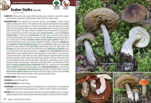 Mushrooms Of The Northwest - AdventureKEEN