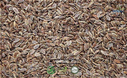 Dill Seeds: 8 Oz - Alive Herbals