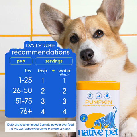 Organic Pumpkin Fiber Powder, Digestive Supplement for Dogs: 8 oz - Native Pet