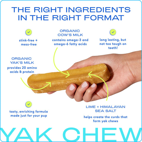 Yak Dental Chews , Himalayan Cheese Dog Treats: 5.3oz, Small - Native Pet