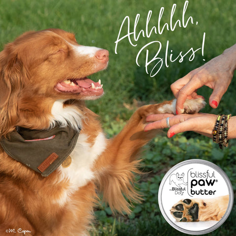 Paw Butter for Rough, Dry Dog Paws in Tins & Tubes, Paw Balm: 1 oz tin - The Blissful Dog