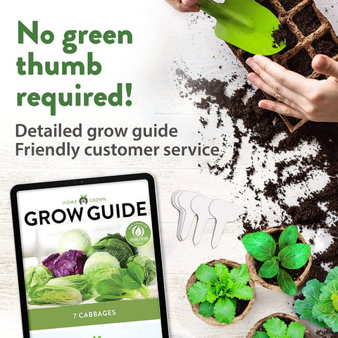 7 Varieties Cabbage Seeds - Non-GMO, Heirloom - Homegrown Garden