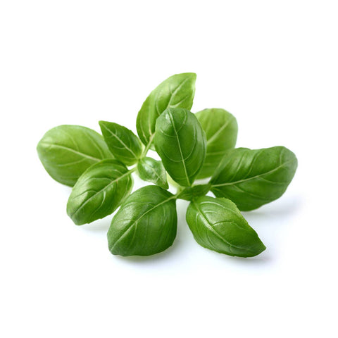 Basil Plant Pods, 3-pack - Click and Grow