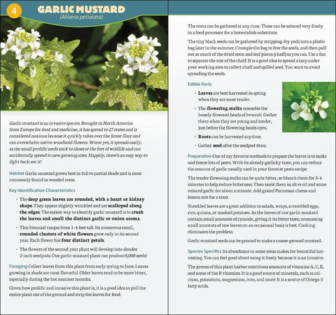 Foraging in North America Quick Guide - AdventureKEEN