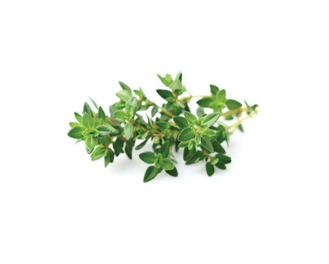 Thyme Plant Pods, 3-pack - Click and Grow