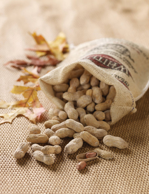 Salted Roasted-n-Shell Peanuts, 12 oz in a Burlap Bag - Whitley's Peanut Factory