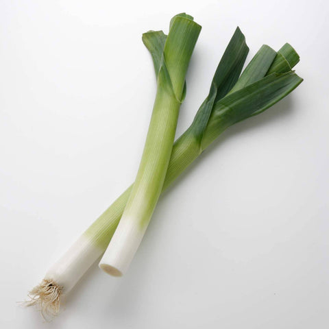 Leeks, 1500 Seeds - The Rike
