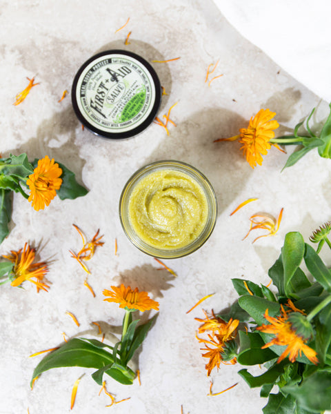 First Aid Salve, 2 oz - Roots And Leaves