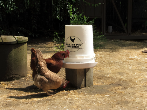 Poultry Pro Waterer - Riverbend Resources