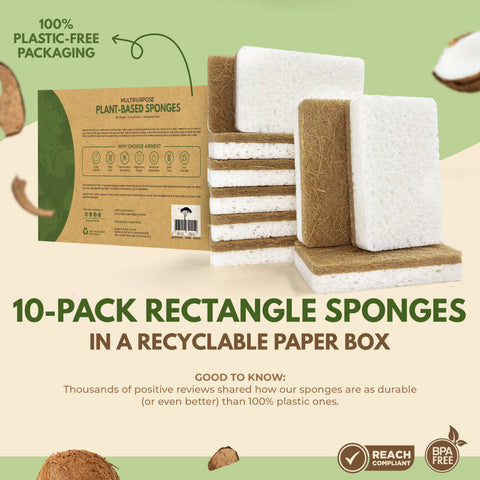 10 Pack Dish Sponges, Eco Friendly, Biodegradable - AIRNEX