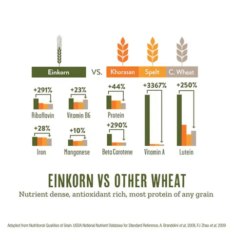 Organic Einkorn Spaghetti, 8.8 oz - Revival Einkorn