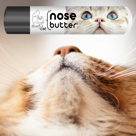 The Blissful Cat Nose Butter: 0.15oz Tube - The Blissful Dog