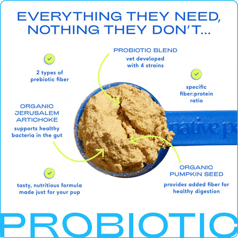 Probiotic & Prebiotic Powder Vet-Formulated Supplement for Dogs: 4.1 oz - Native Pet