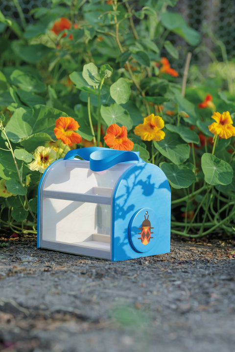 Critter Case, FSC Certified Wood - Beetle & Bee