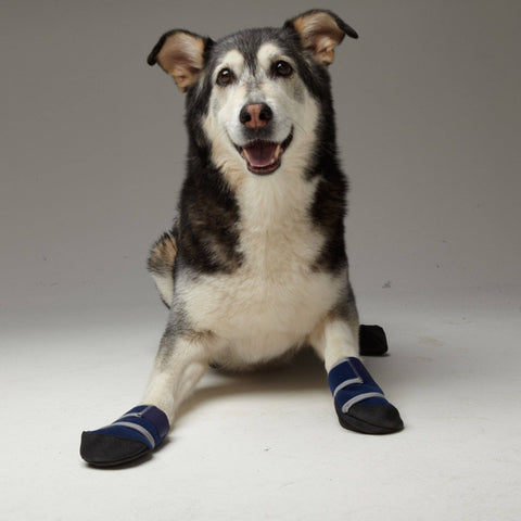 Healers Medical Booties: LG - Healers PetCare