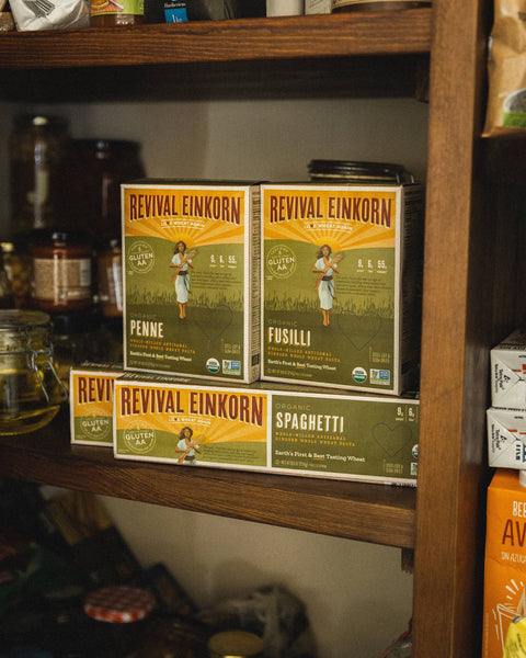 Organic Einkorn Spaghetti, 8.8 oz - Revival Einkorn
