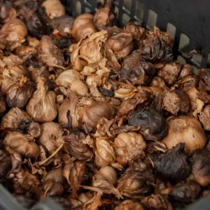 Black Garlic, oz - Burlap & Barrel