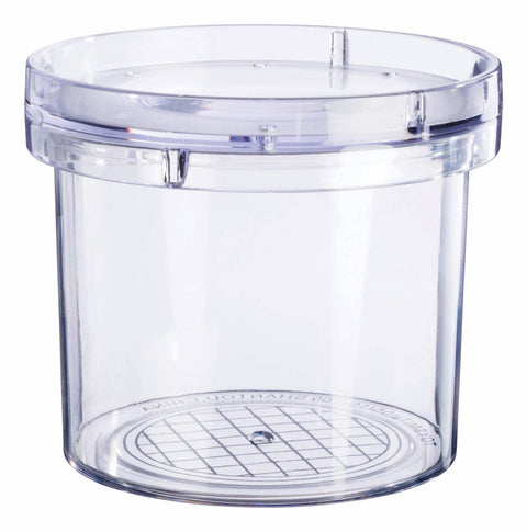 Magnifying Bug Viewer - Beetle & Bee