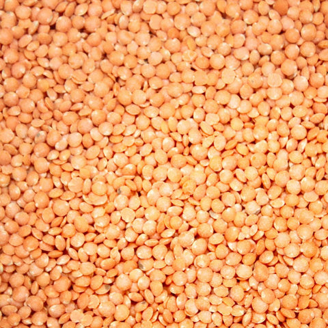 Organic Petite Crimson Lentils, $7.00/lb - Timeless