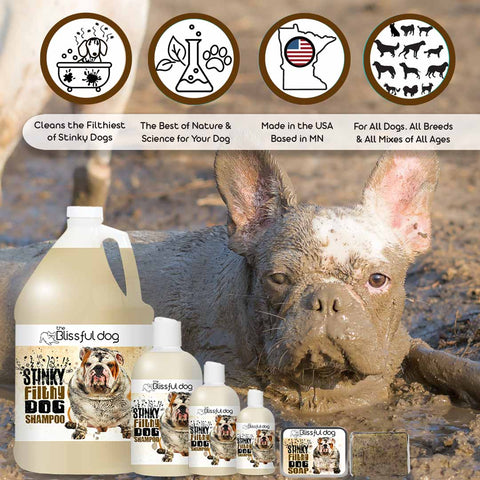 Stinky Filthy Dog Soap for Your Filthy Animal, 3.5-4 oz bar - The Blissful Dog