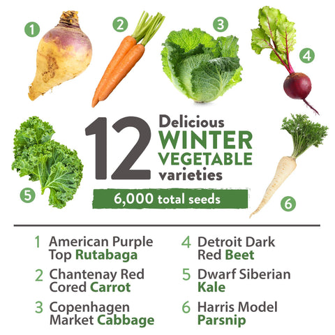 12 Winter Vegetable Seeds Varieties - Heirloom, Non-GMO - Homegrown Garden