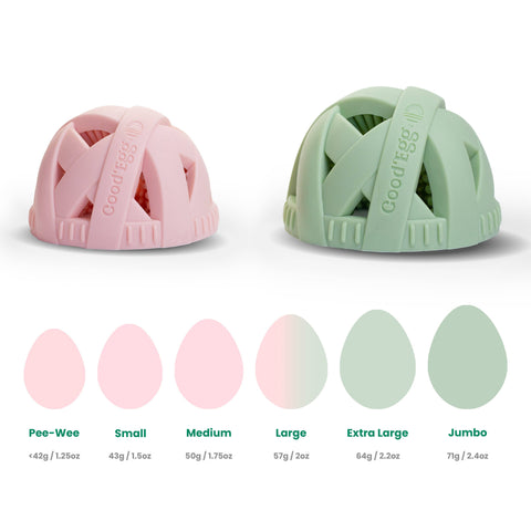 Brush - The Original Egg Brush™ Size L: Large - XL - GoodEgg