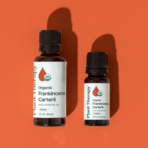 Organic Frankincense Carterii Essential Oil, 10 ml - Plant Therapy