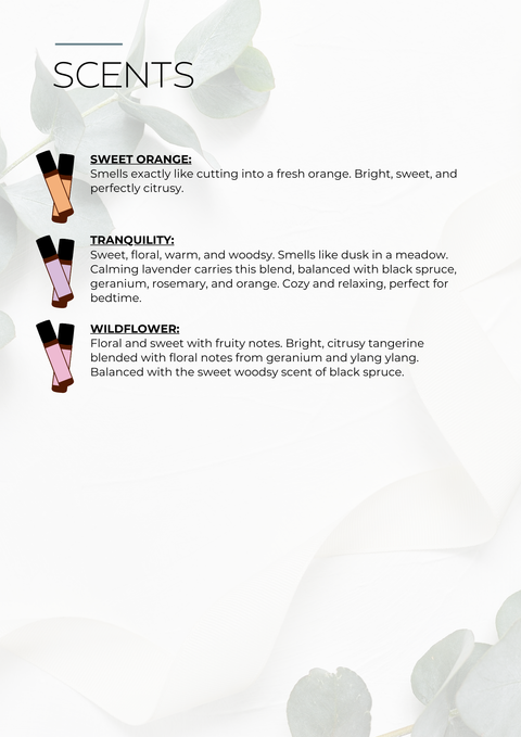 Focus 5ml Mini Roll-On Essential Oils - Wild Grove Essentials