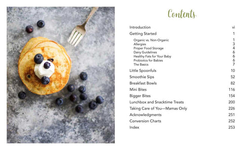 Natural Baby & Toddler Treats by Leigh Ann Chatagnier: Paperback, 264 pages - Simon & Schuster