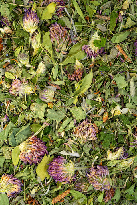 Immunity Herbal Tea, 1.9 oz - Sacred Blossom Farm