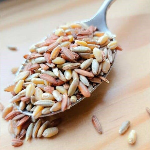 Organic Ancient Grain Blend, 4 lb - Bluebird Grain Farms