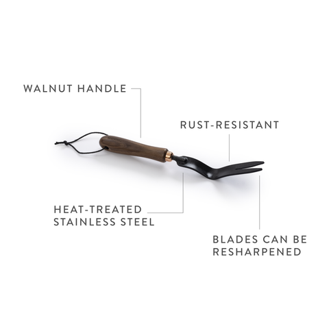 Dandelion Weeding Fork, Walnut/Black - Barebones