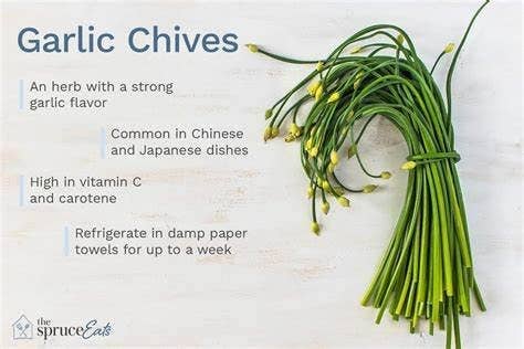 Garlic Chives, 2000 Seeds, Hẹ la Allium tuberosum - The Rike