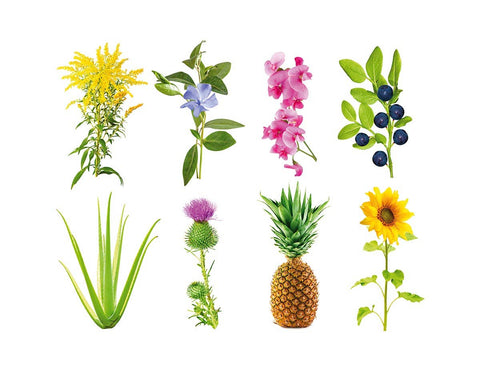 Grow Anything Plant Pods, 9-pack - Click and Grow