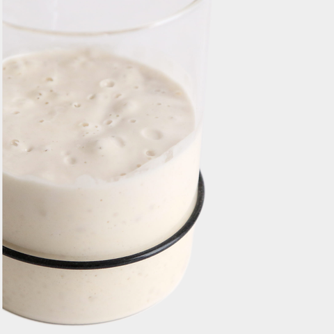 Sourdough Starter Kit - Breadtopia
