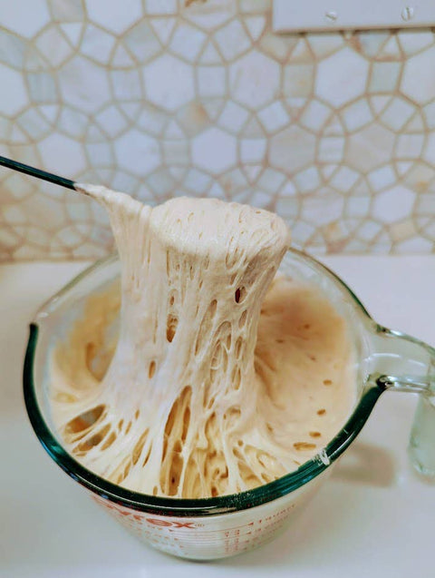 Sourdough Starter, Organic, Non-GMO, Freeze Dried, 12 grams - My Rustic Roots